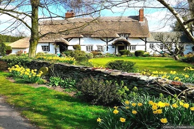 When Is Spring Wallpapers   Crazy Frankenstein