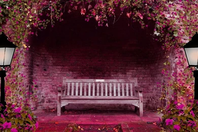 1920x1080 Spring Garden Bench Wallpapers