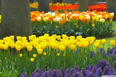 Download Spring In Spain Wallpapers 1920x1080