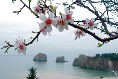 Spring Season, High, Resolution, 1920x1080 HD Wallpapers And FREE ...