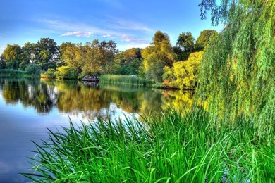 Nature Spring, 1920x1080 HD Wallpapers And FREE Stock Photo