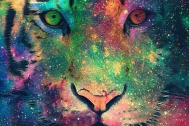 Tiger Galaxy Wallpapers