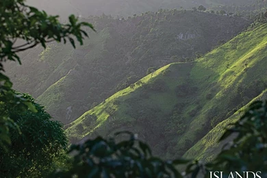 Jamaican Flag Wallpapers   202837