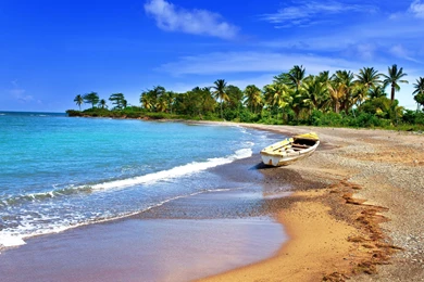 Jamaica Sandy Coast
