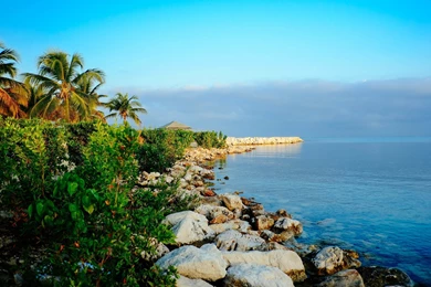 Tropical Nature In Jamaica Wallpapers :: HD Wallpapers