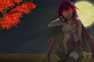 Hitagi Senjougahara   Bakemonogatari Wallpapers   Anime Wallpapers ...