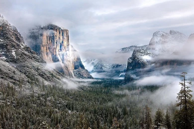 Download Wallpapers 2560x1440 Mountains, Fog, Clouds, Fir trees ...