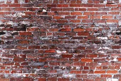 Brick Backgrounds & Textures Pictures Collection