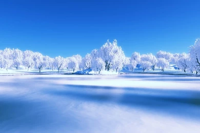 Top Microsoft Desktop Scenes Images For Pinterest