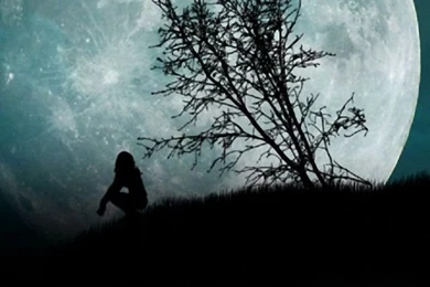 100 Free HD Phone Wallpapers For All Screen Resolutions (720p ...