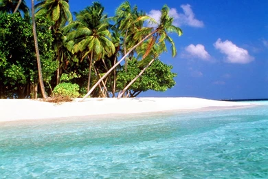 Best Wallpapers: Widescreen Wallpapers Hd Free Download