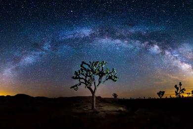 蒙古语_央视网   CCTV.com_MONGOL HOME PAGE