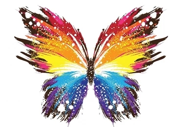Top Colorful Butterfly Wallpapers 16 Images For Pinterest