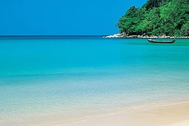 Green Tropic Island Beach Backgrounds   Beach Wallpapers