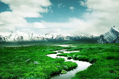 Mobile Hd Funny Wallpapers 1080p Nature 9.jpg