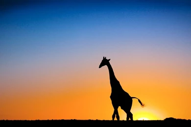 Nature Archives   Page 12 Of 15   HD Wallpapers Source