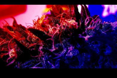 HD Trippy Backgrounds