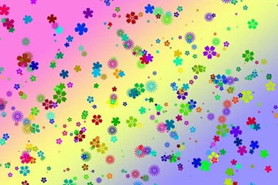 Colorful Flowers Desktop.jpg