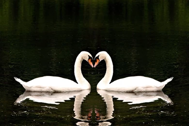 Laptop Wallpapers Download_hd Wallpaper_download Free Wallpapers