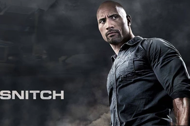 Dwayne Johnson Wallpaper 2.jpg