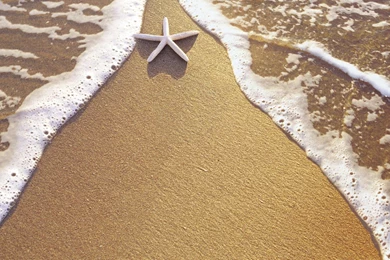 Christmas Vacation Wallpapers 2015   Grasscloth Wallpapers