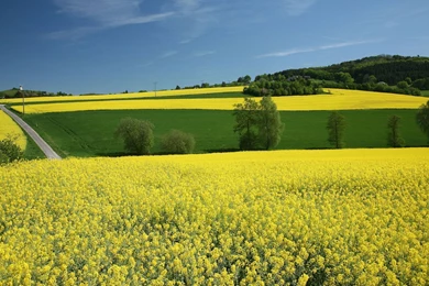 Wallpapers For Laptop Free   HD Wallpapers Pretty