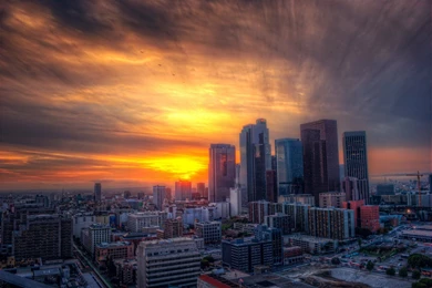 Griffith Observatory Oscars Venice beach Newport Beach Venice ...