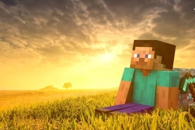 Steve   Minecraft Wallpapers   Game Wallpapers