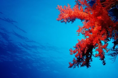 HD Backgrounds Wallpapers