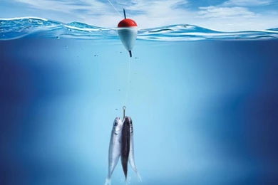 Fishing Backgrounds Wallpapers 259937