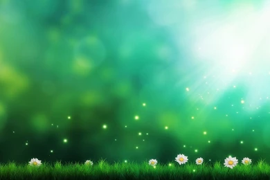 Shiny Green Flowery Plain Wallpapers