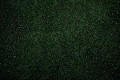 Green Grass Plain Desktop HD Wallpapers