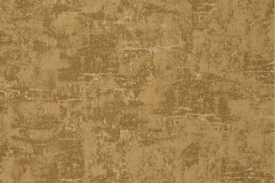 Plain Wallpapers / Paper / Traditional   PEINTURE   Braquenié