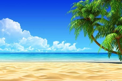 Beaches Wallpapers