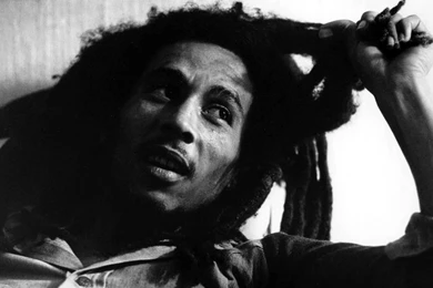 Marley Wallpapers