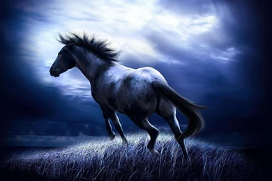 3d Desktop Wallpaper_3d Wallpapers_download Free Wallpapers