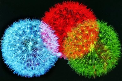 3d Wallpapers 2012: 3d Desktop Wallpapers