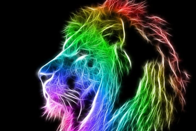 The Lioness, The Lions On Pinterest