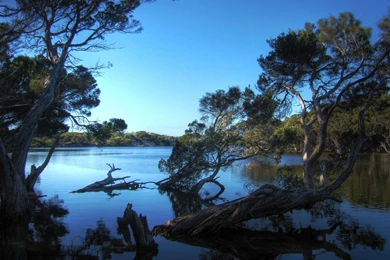 Widescreen Wallpapers Download_hd Wallpaper_download Free Wallpapers