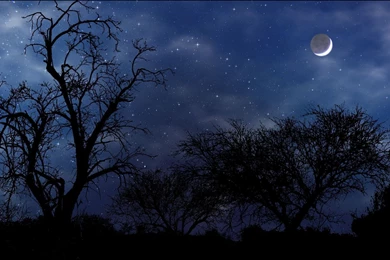 HD Night Scene Widescreen HD Wallpapers