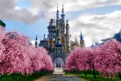 Castle HD Wallpaper, Castle Backgrounds, New Wallpapers