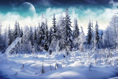 Winter Wonderland Desktop Wallpaper, Winter Wonderland Images, New ...