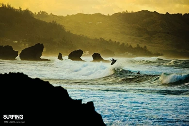 Wallpaper: Sup Surf Wallpapers