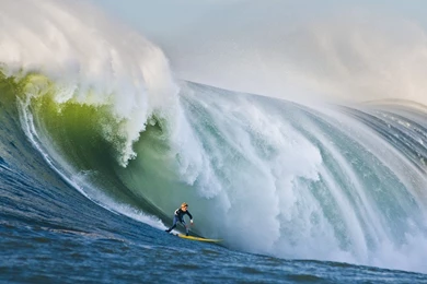 202 Surfing HD Wallpapers