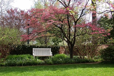 PhoneGames For > Springtime Wallpapers