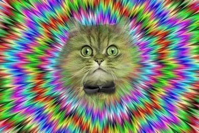 iPhone Wallpapers On Pinterest