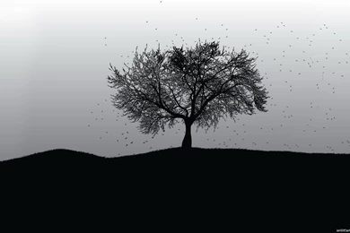 1920X1080 Wallpapers 6   Best Wallpapers Collection