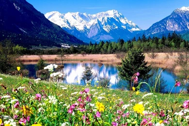 Spring Landscape Wallpapers High Quality