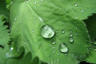 Free Wallpapers Hd_hd Wallpaper_download Free Wallpapers