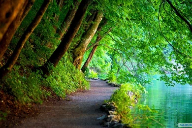 Free Online Desktop Backgrounds